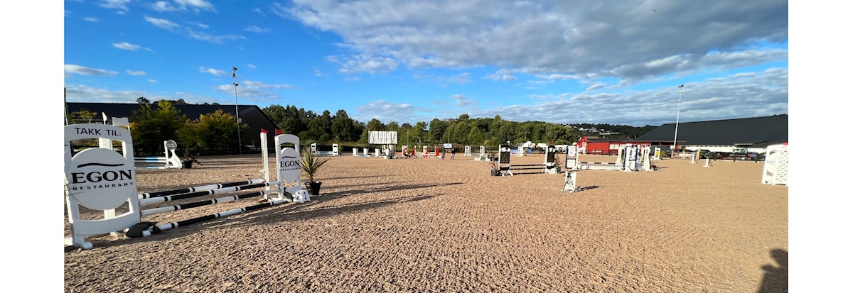 LANDSSTEVNE PONNI